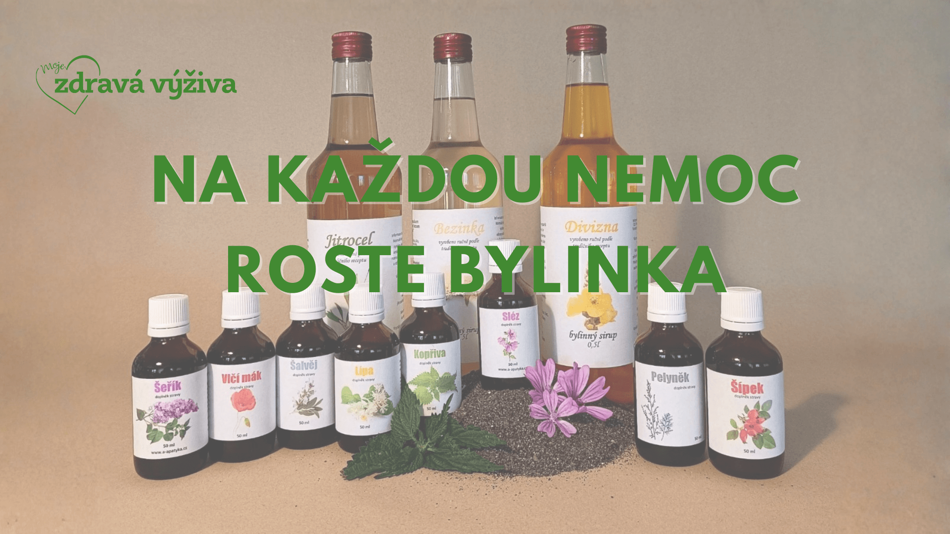 Bylinkové poradenství v Moje zdravá výživa